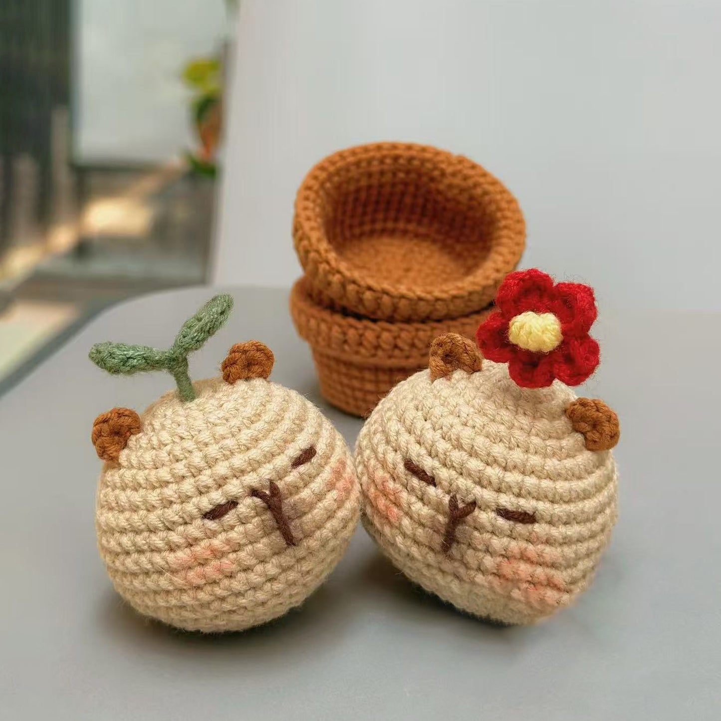 DIY Capibala woolen doll