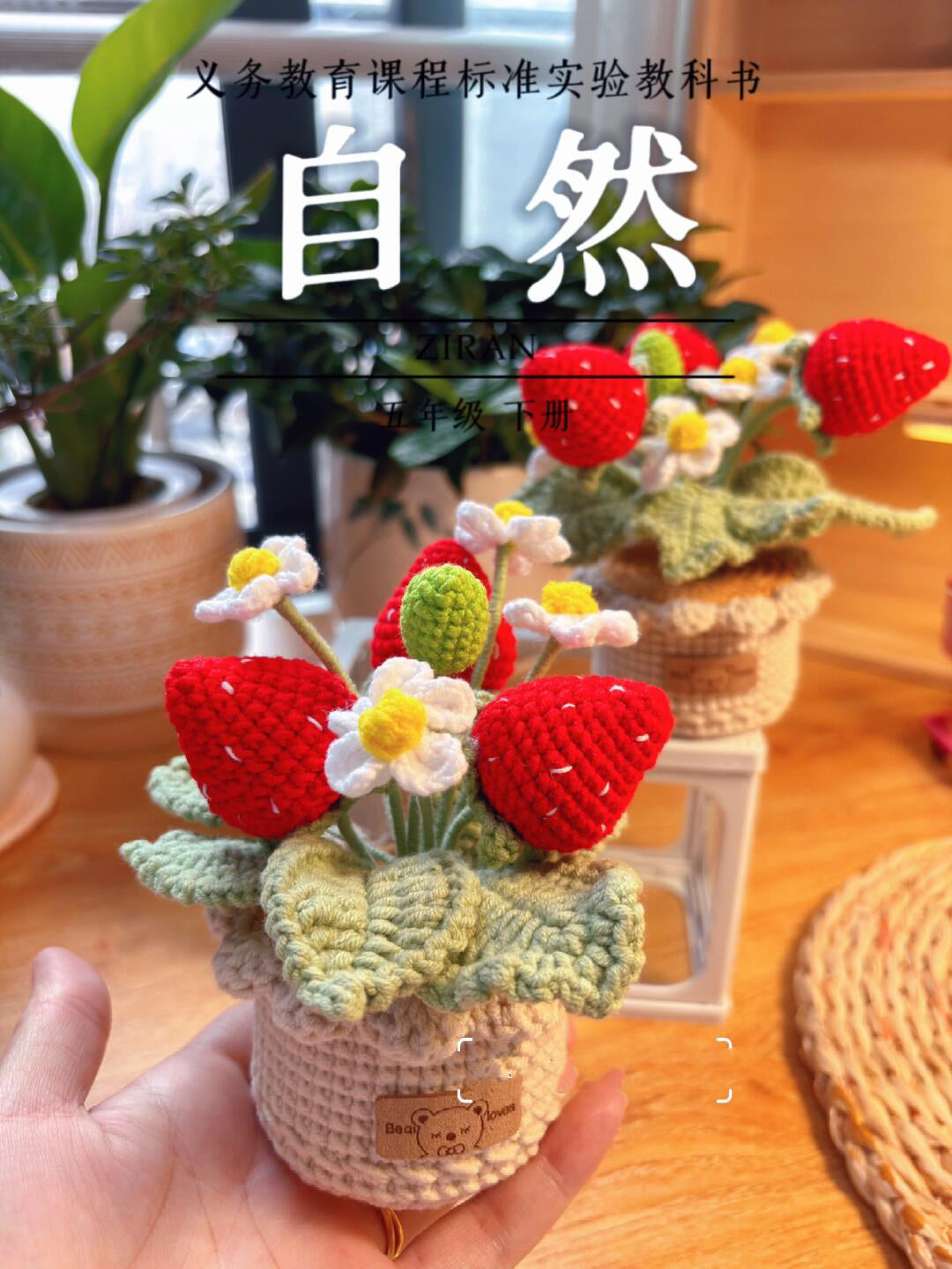 diy wool strawberry potted flower material package