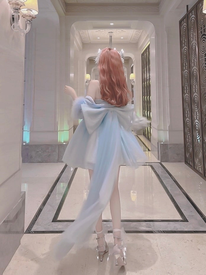 Swan Balletcore Dress