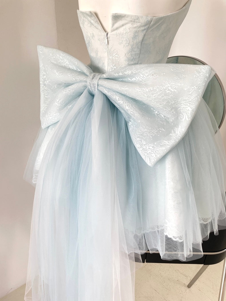 Swan Balletcore Dress