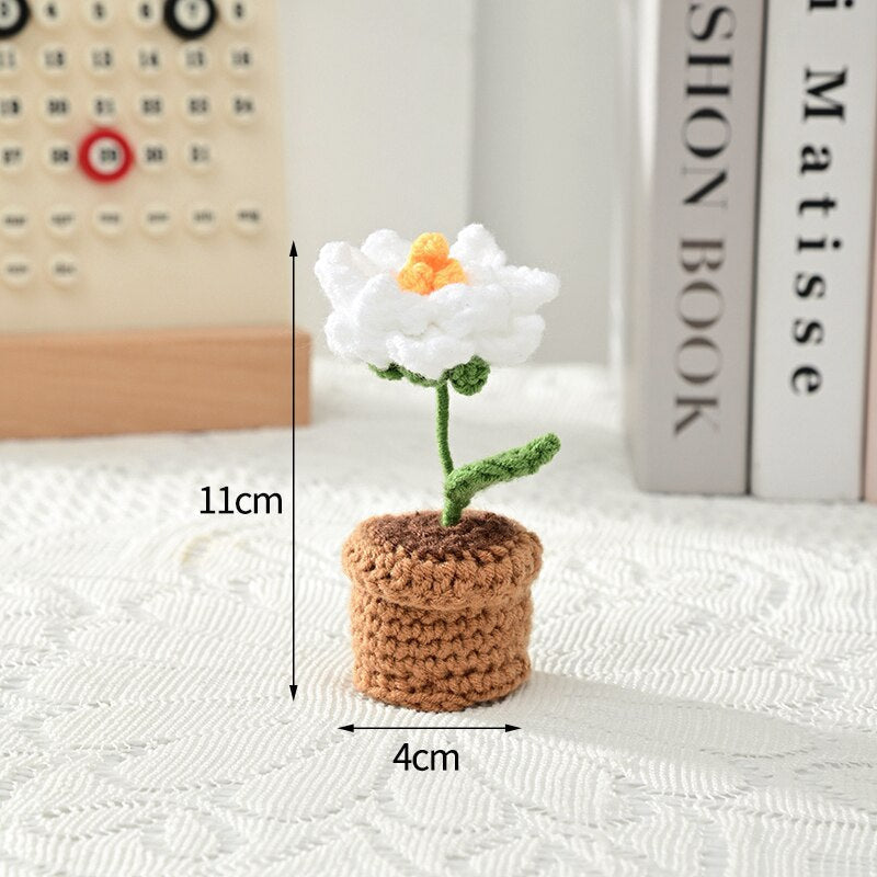 Crochet Flower Pots