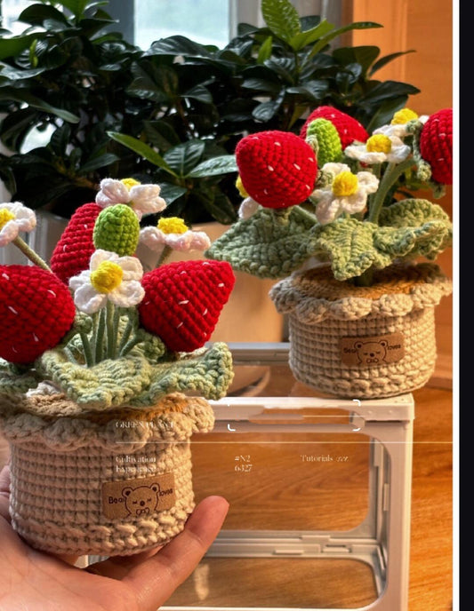 diy wool strawberry potted flower material package