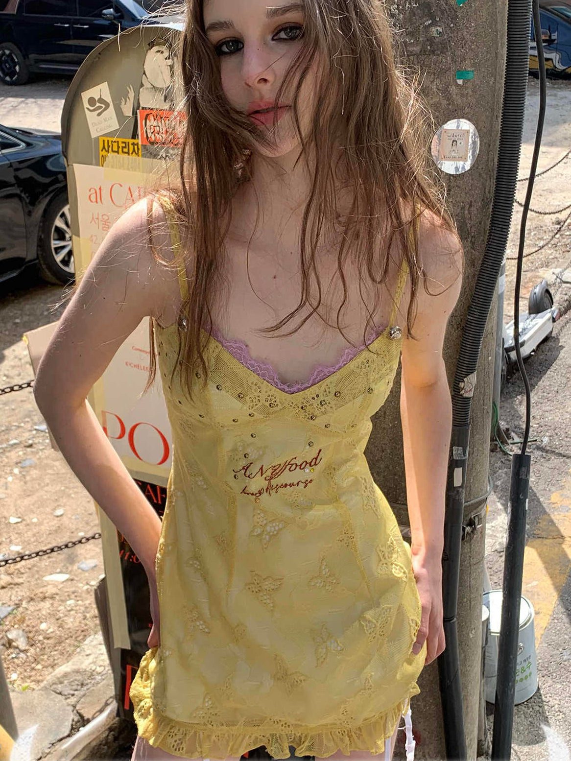 Lemon Yellow Butterfly Embroidery Dress