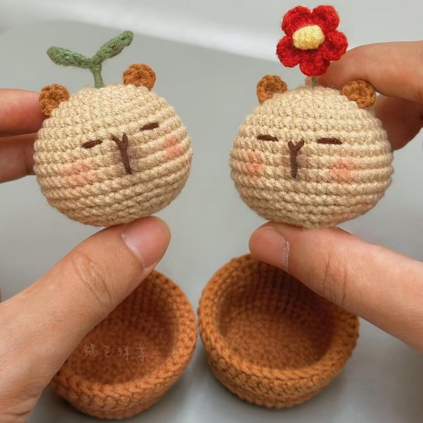 DIY Capibala woolen doll