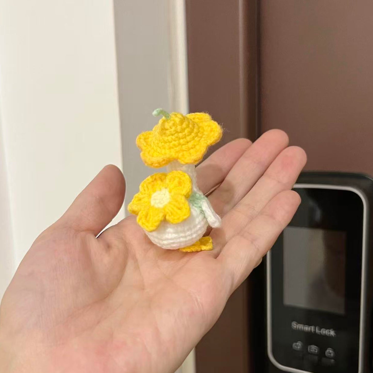 diy crochet school duck kit