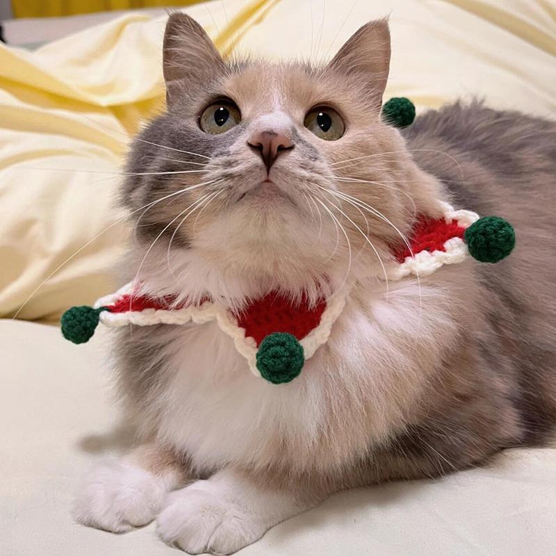 Christmas pet cat diy wool scarf