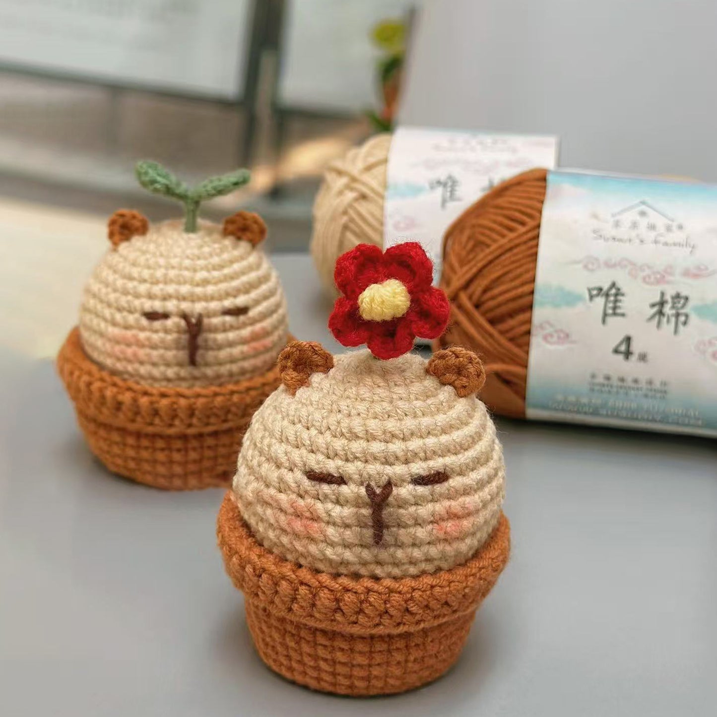 DIY Capibala woolen doll