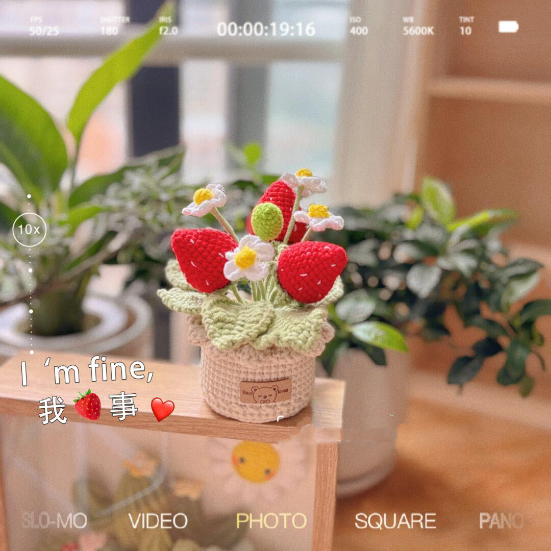 diy wool strawberry potted flower material package