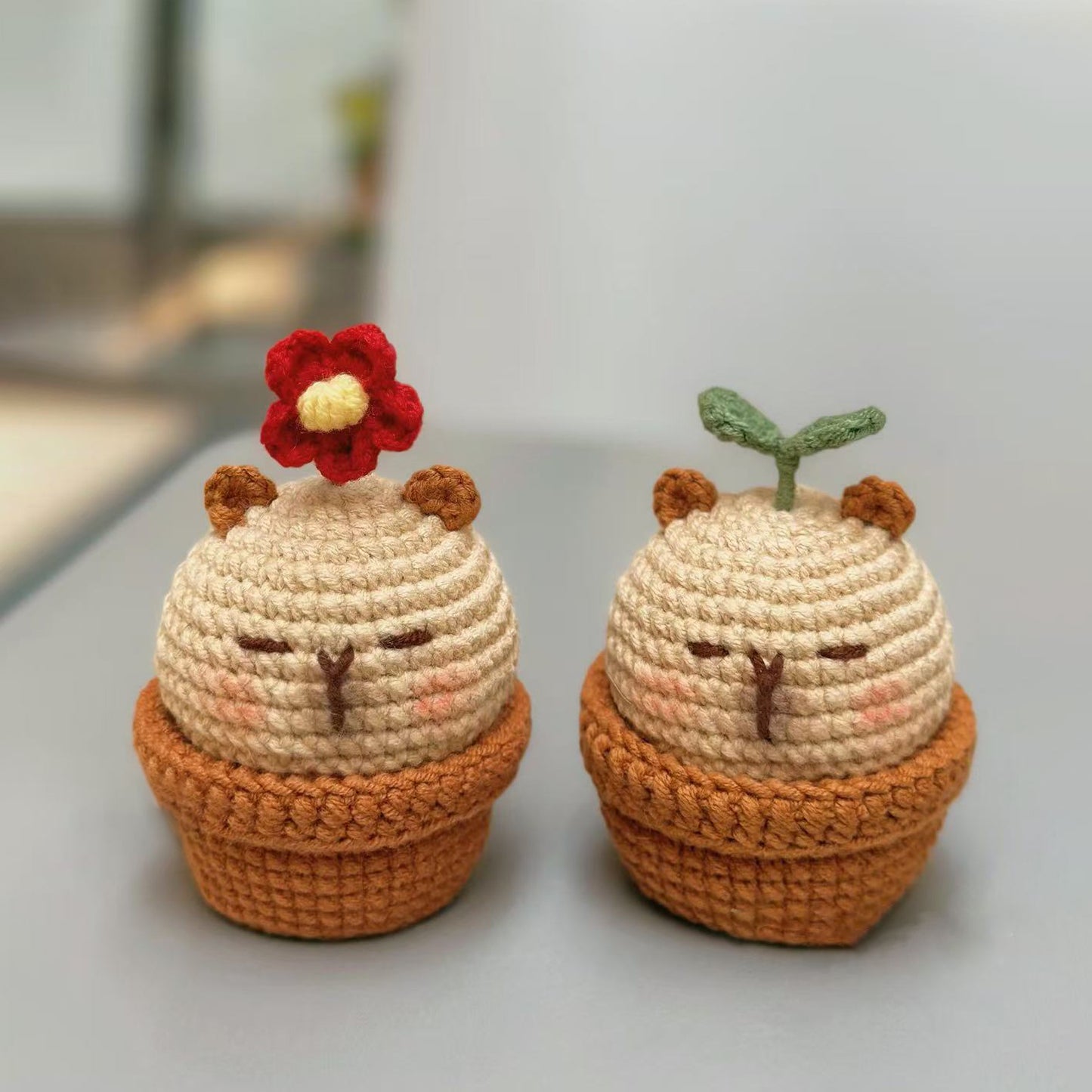 DIY Capibala woolen doll