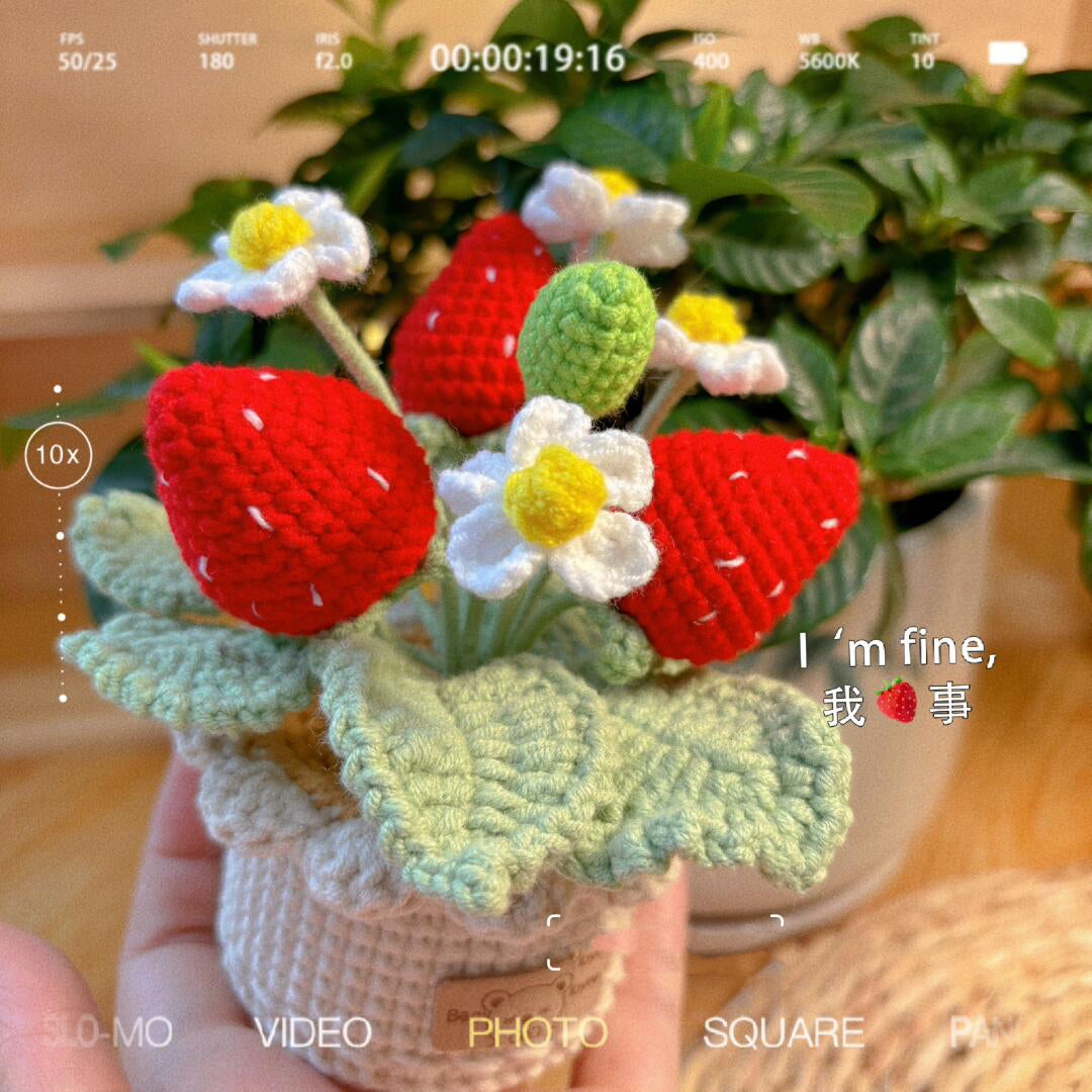 diy wool strawberry potted flower material package
