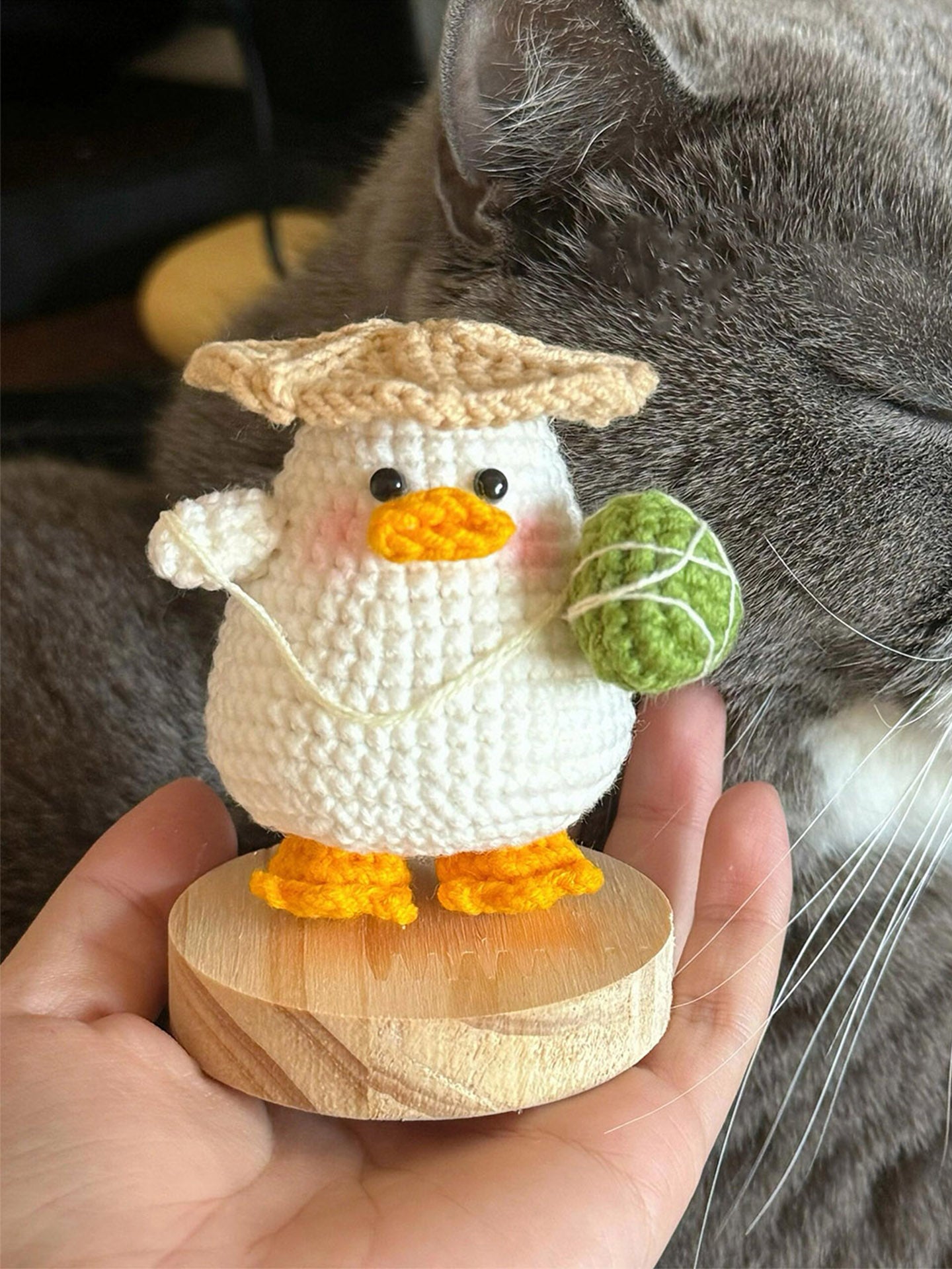 DIY wool fat duck doll