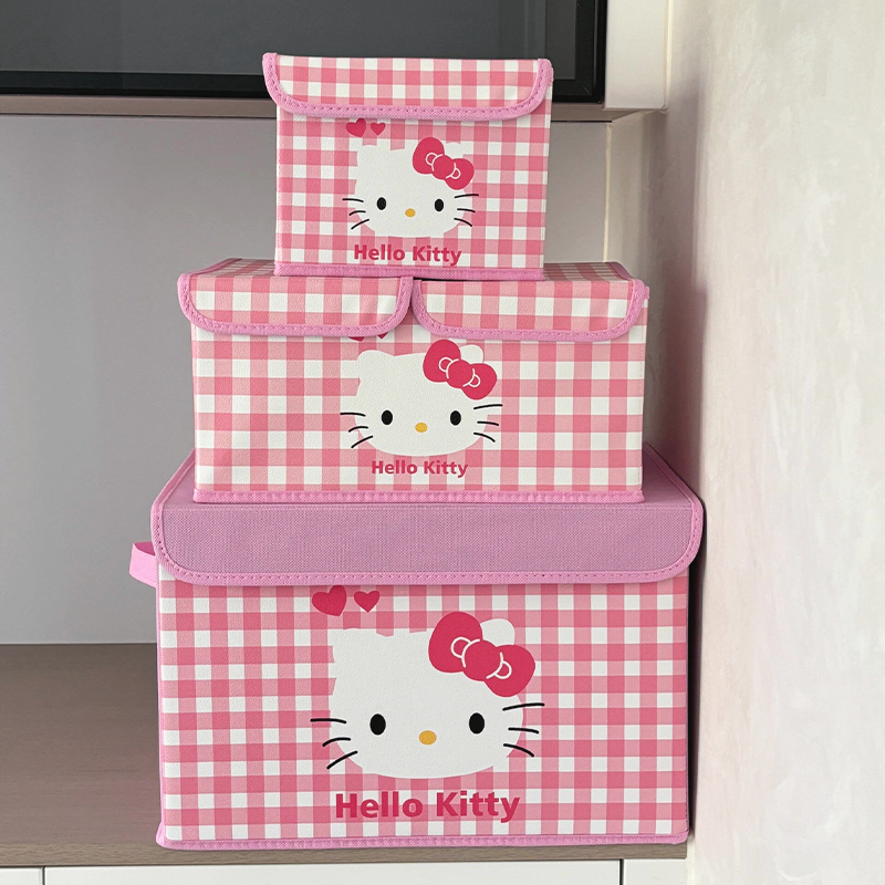 Folding KT cat storage box