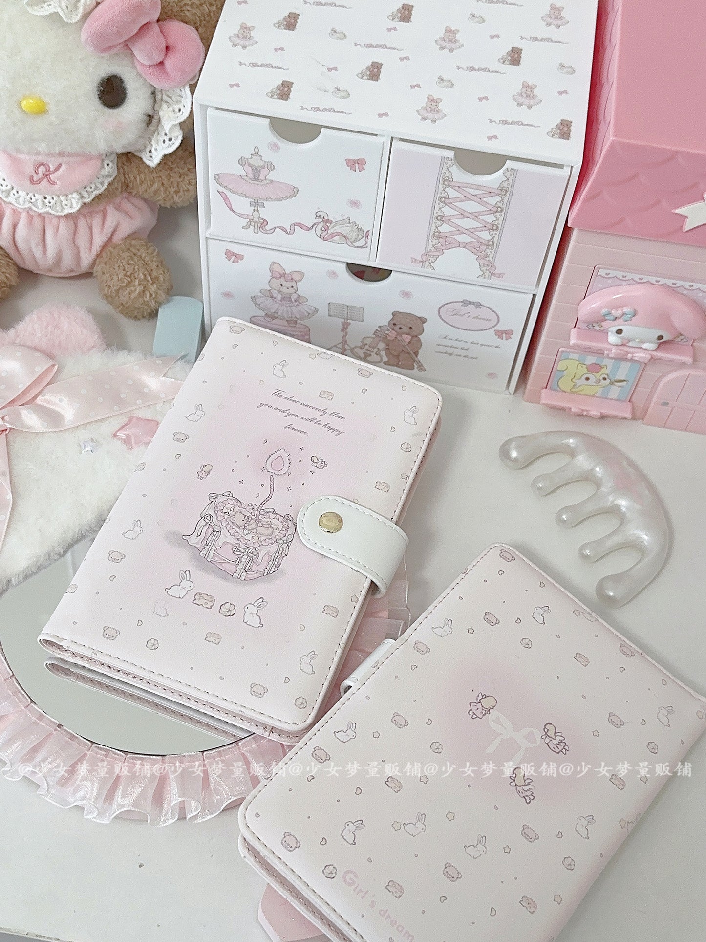 Girly Dream passport ticket holder