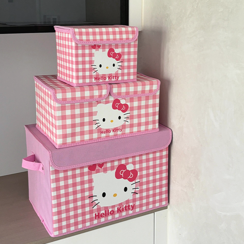 Folding KT cat storage box