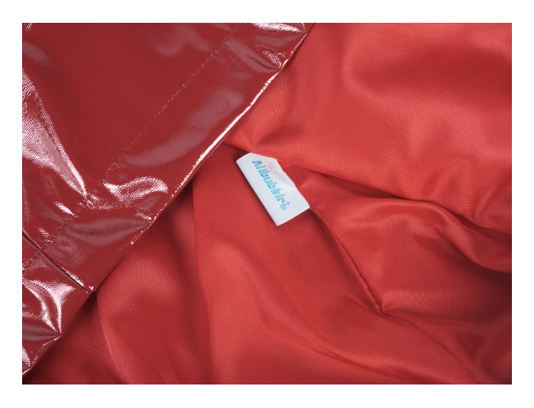 Star Patch Leather Skirt