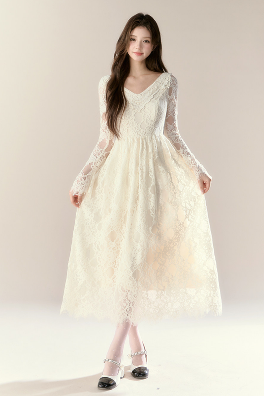 Lace Story Elegant Dress