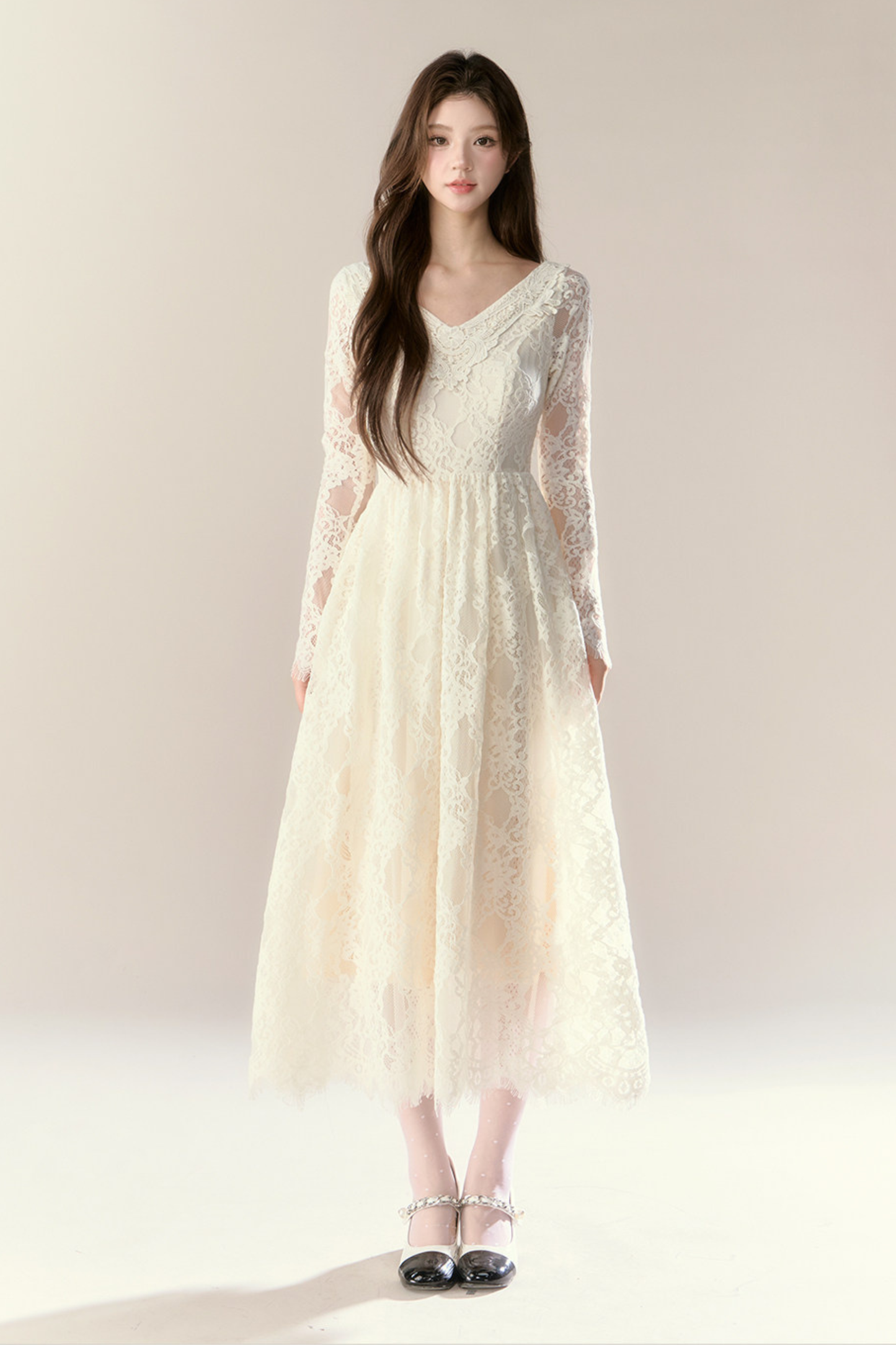 Lace Story Elegant Dress