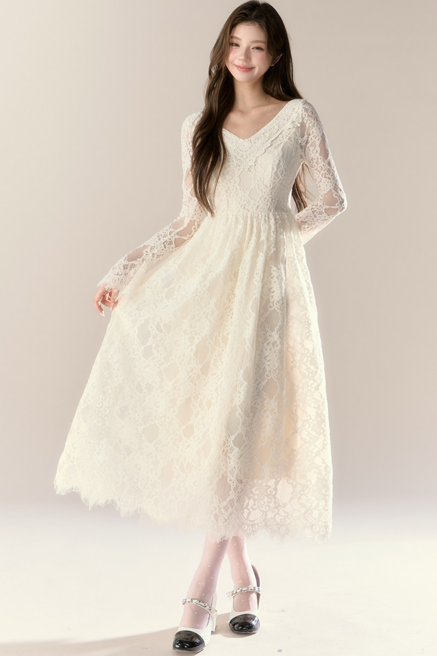 Lace Story Elegant Dress