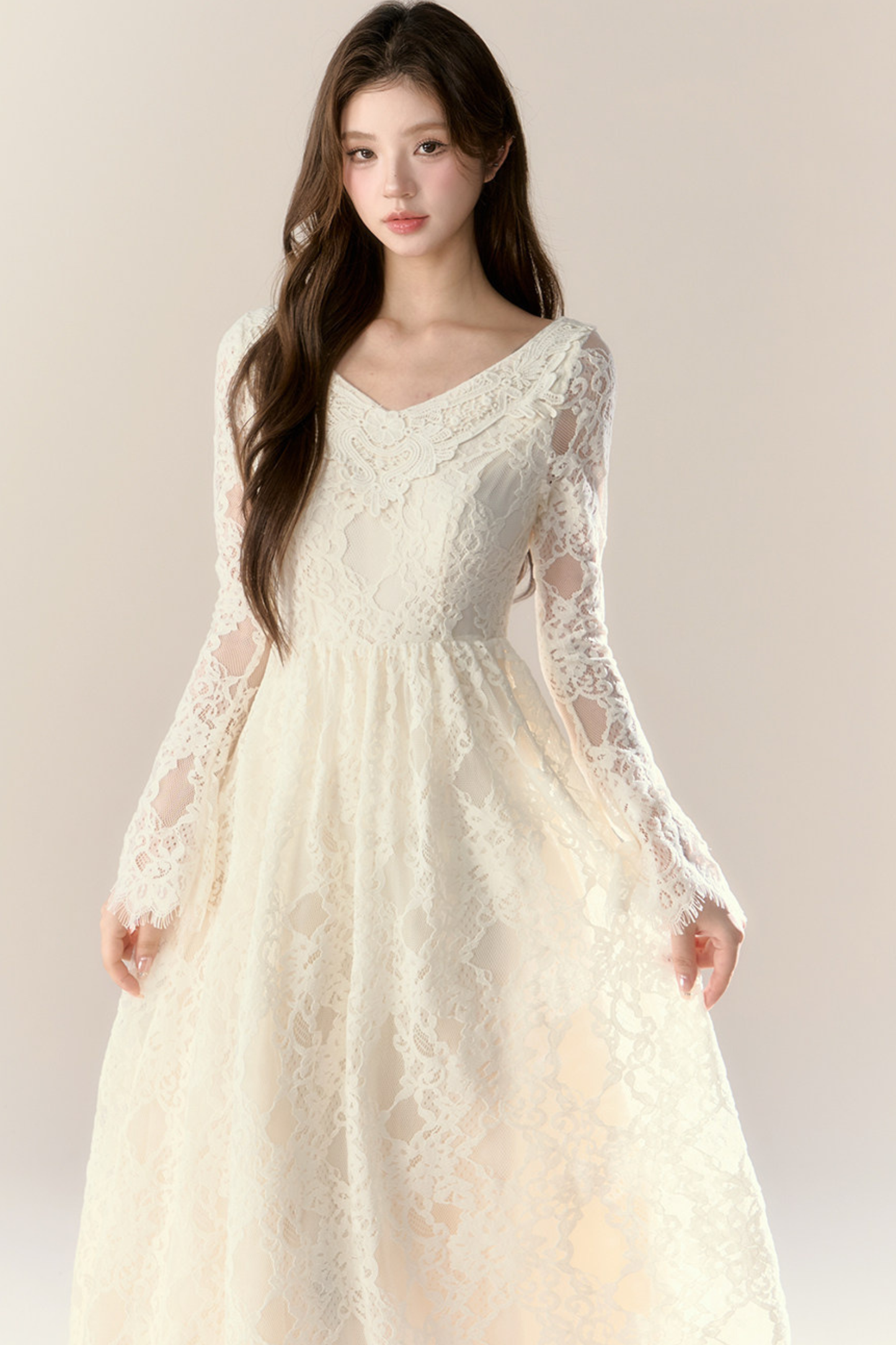 Lace Story Elegant Dress