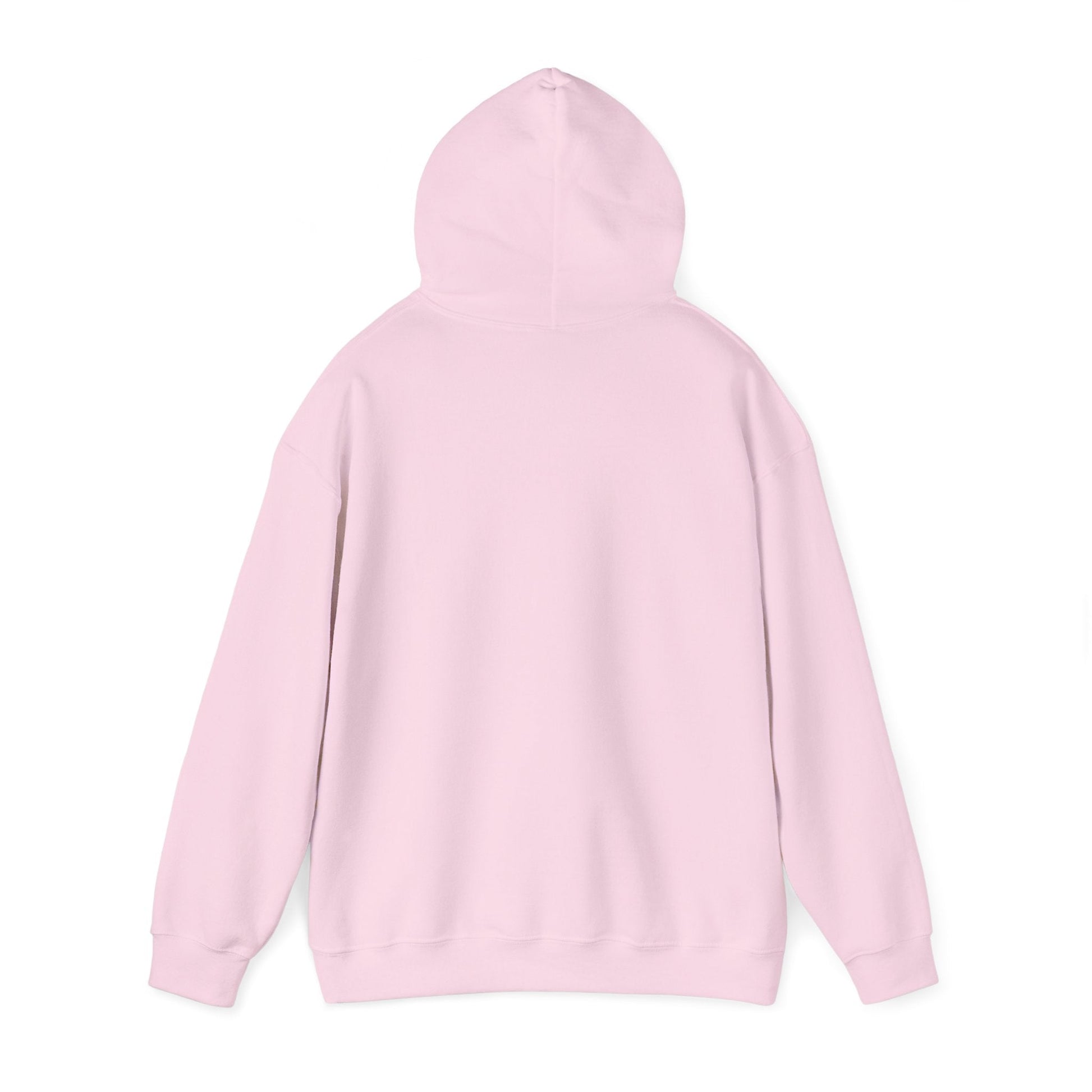 Mean Girls A Little Bit Dramatic Hoodie