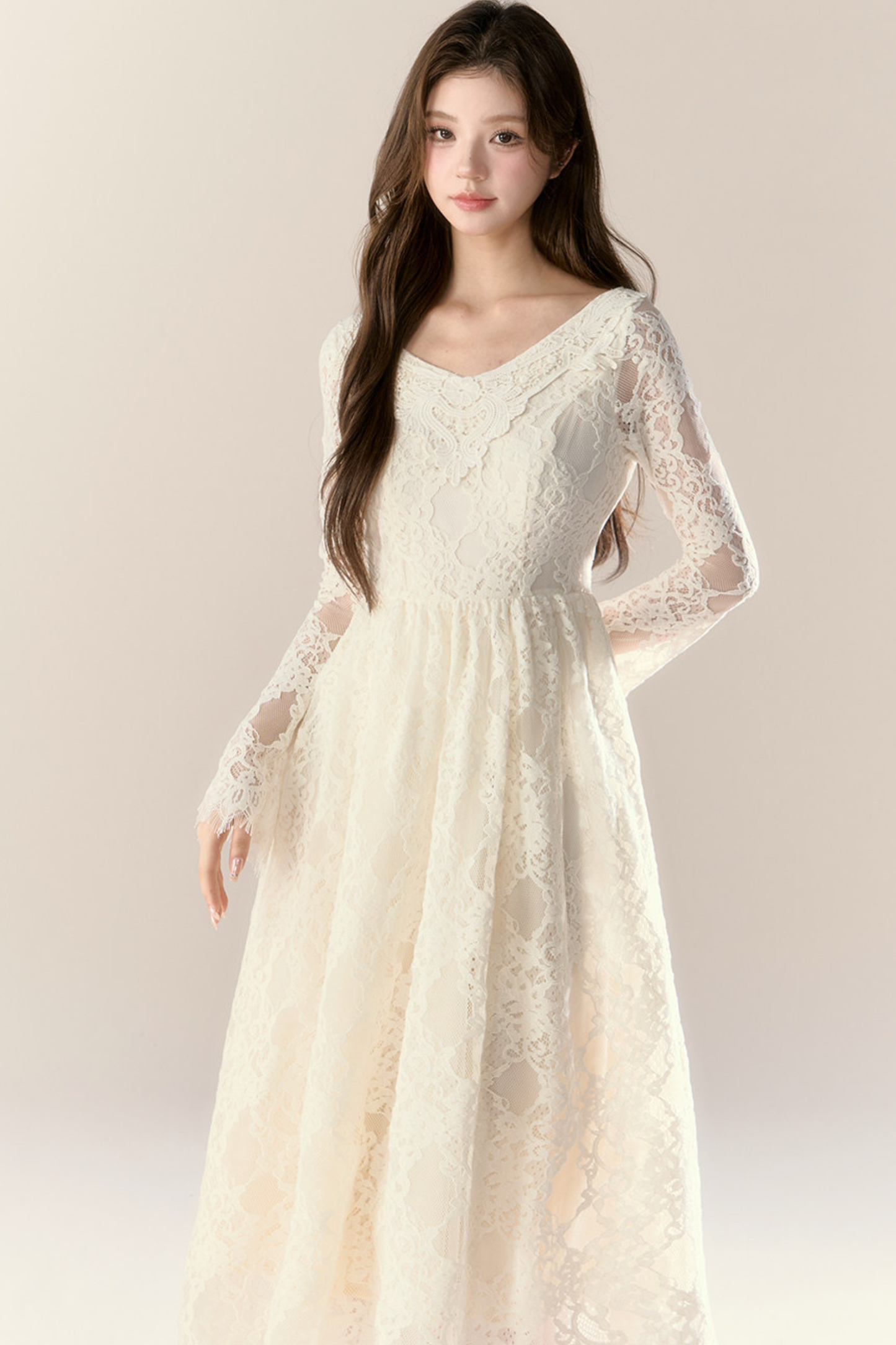 Lace Story Elegant Dress