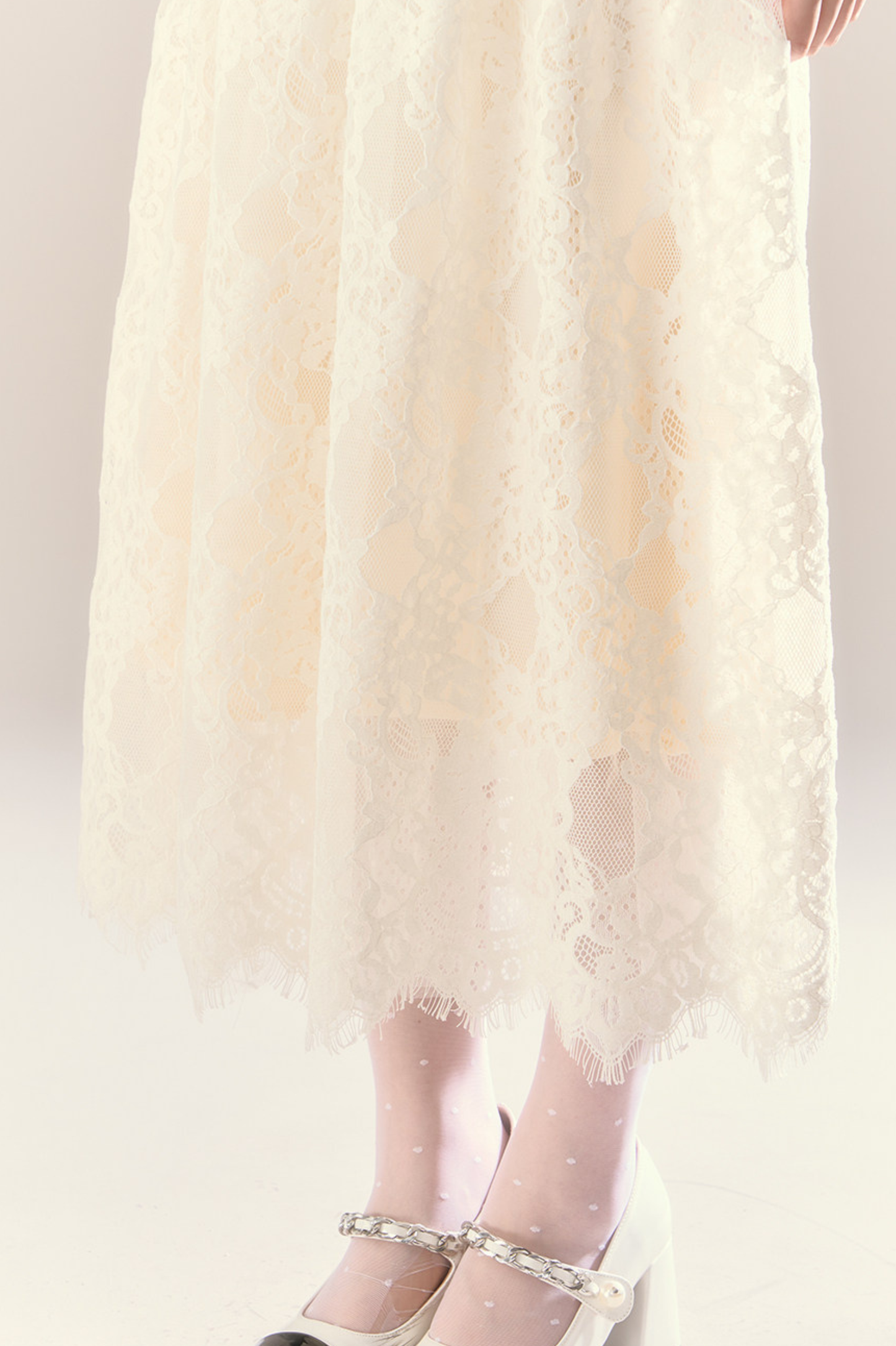 Lace Story Elegant Dress