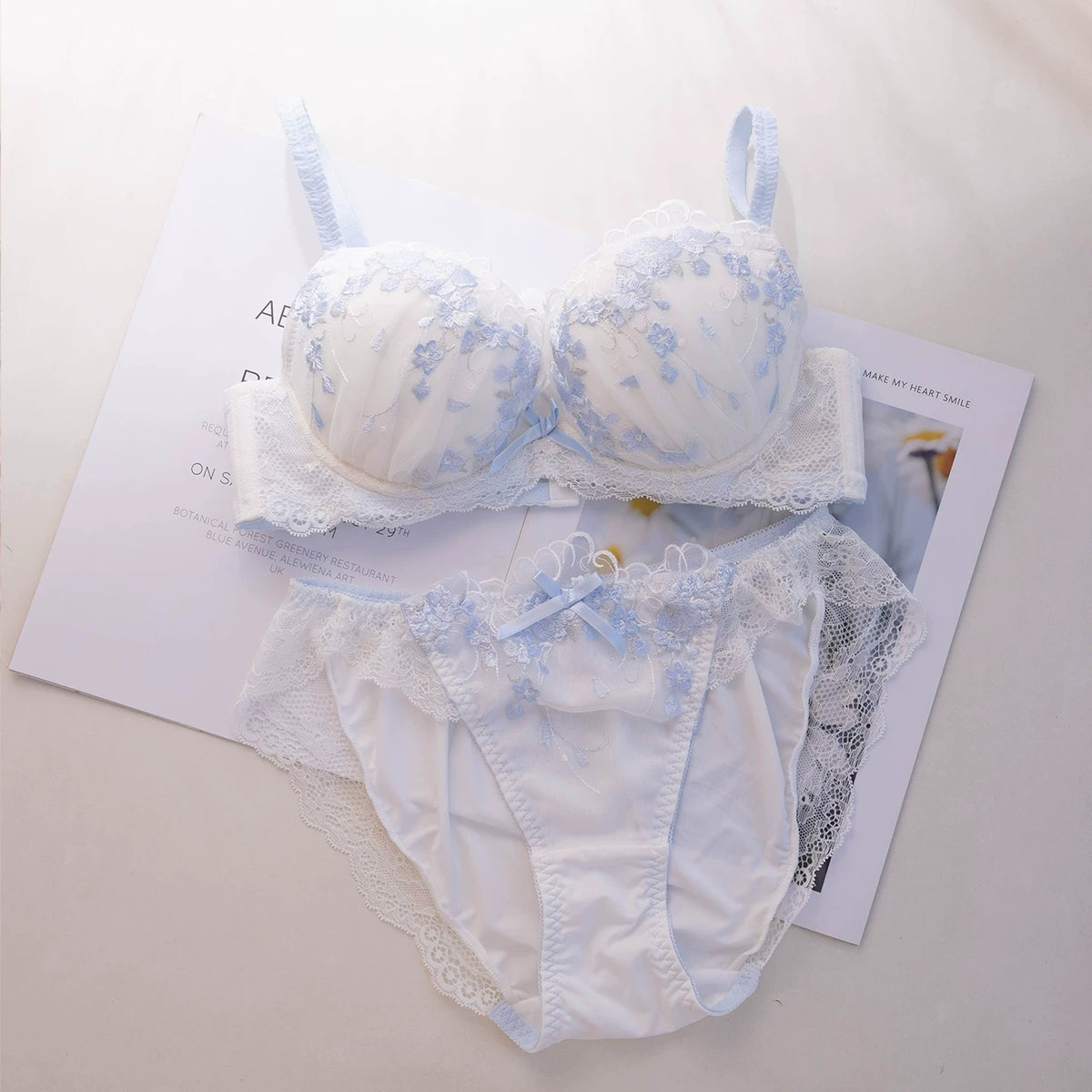 Embroidered Push Up Lingerie Set | Supportive Bra and Panty Set for Women