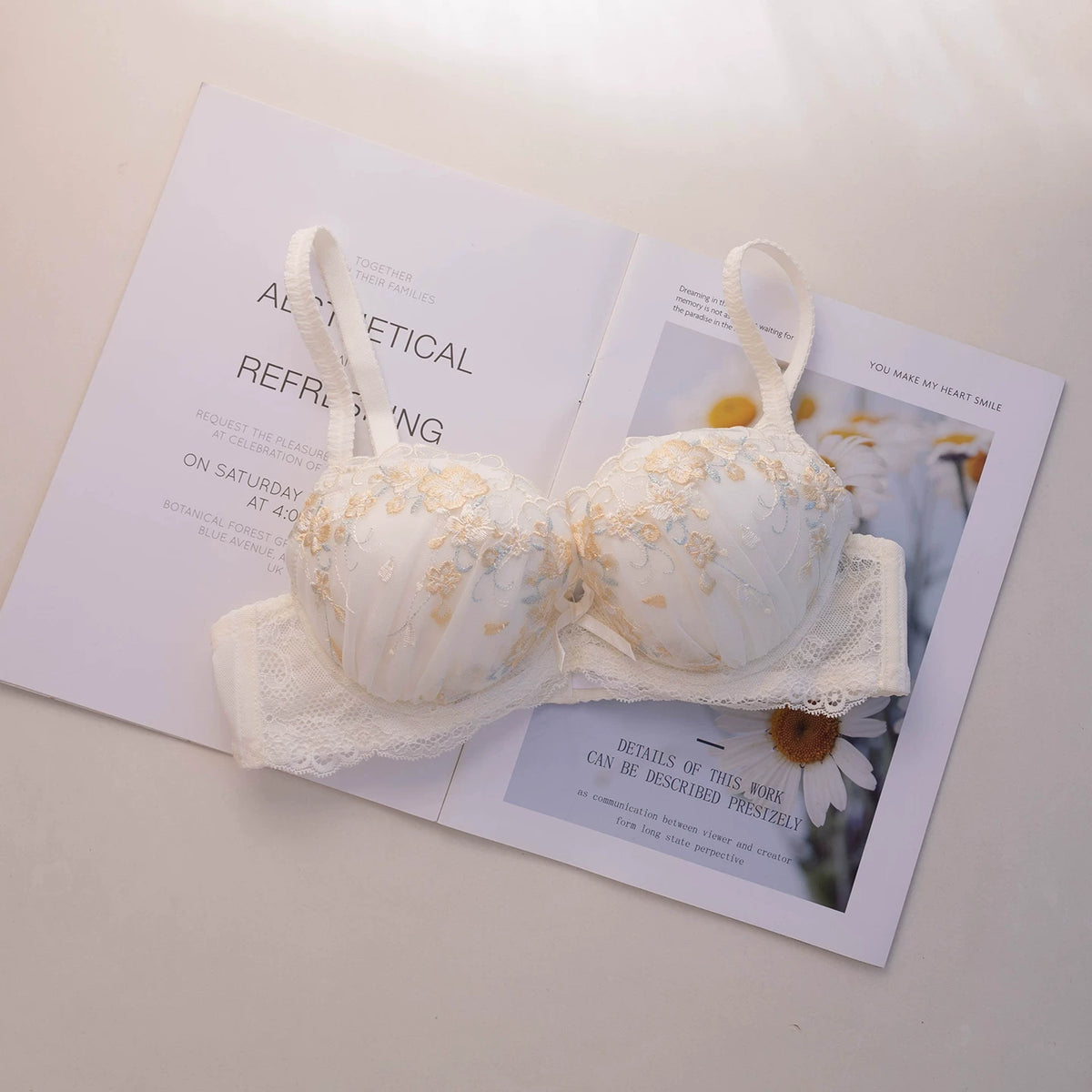 Embroidered Push Up Lingerie Set | Supportive Bra and Panty Set for Women