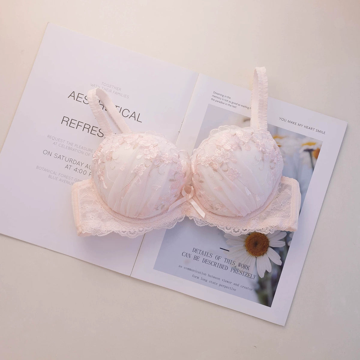 Embroidered Push Up Lingerie Set | Supportive Bra and Panty Set for Women