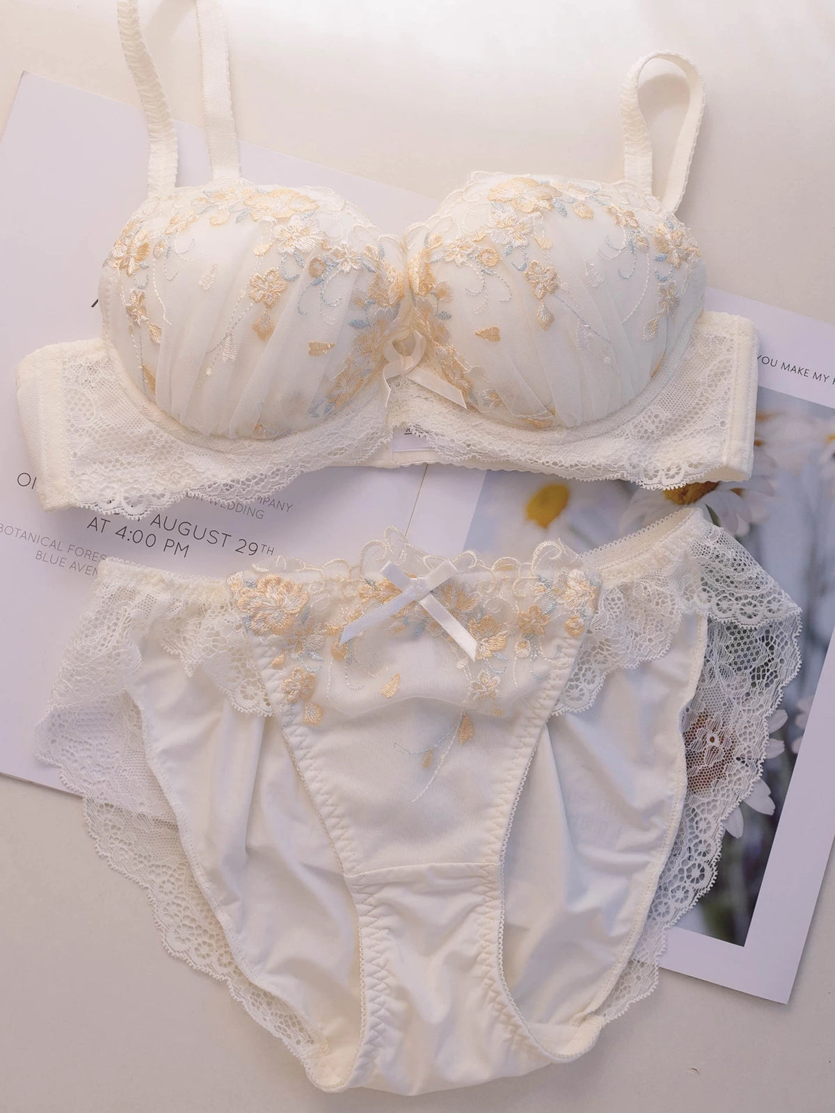 Embroidered Push Up Lingerie Set | Supportive Bra and Panty Set for Women