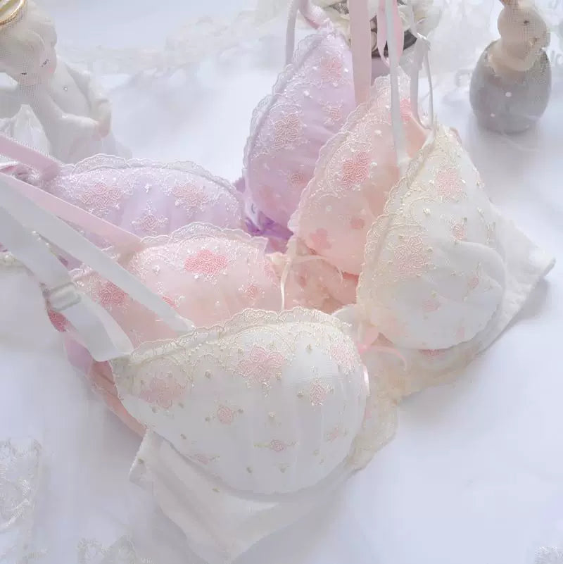 Coquette Embroidered Lingerie Set | Seamless Thin Cup Bra & Panty Set for Women