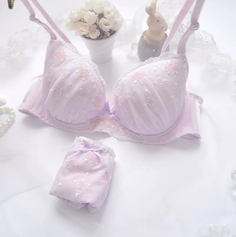 Coquette Embroidered Lingerie Set | Seamless Thin Cup Bra & Panty Set for Women