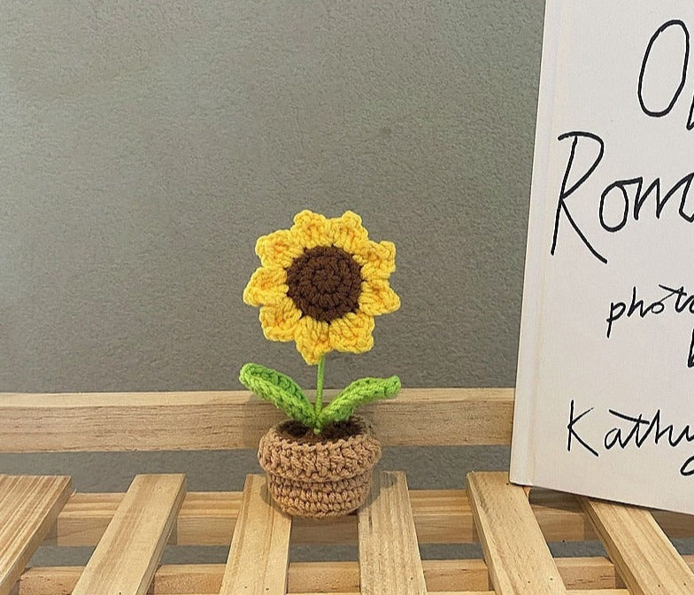 Crochet Flower Pots