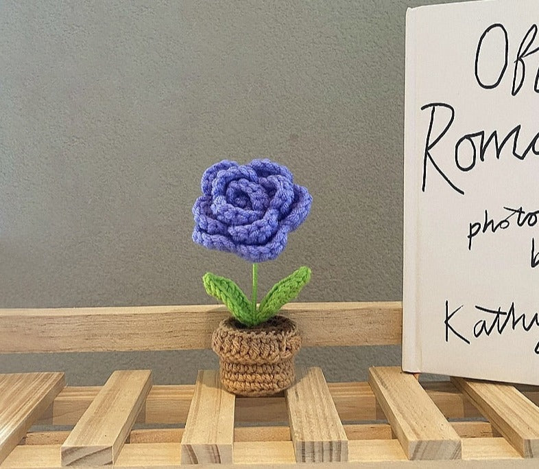 Crochet Flower Pots