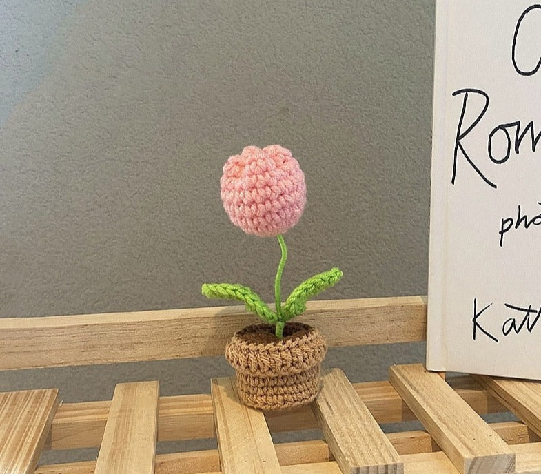 Crochet Flower Pots