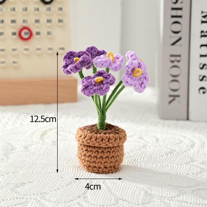 Crochet Flower Pots