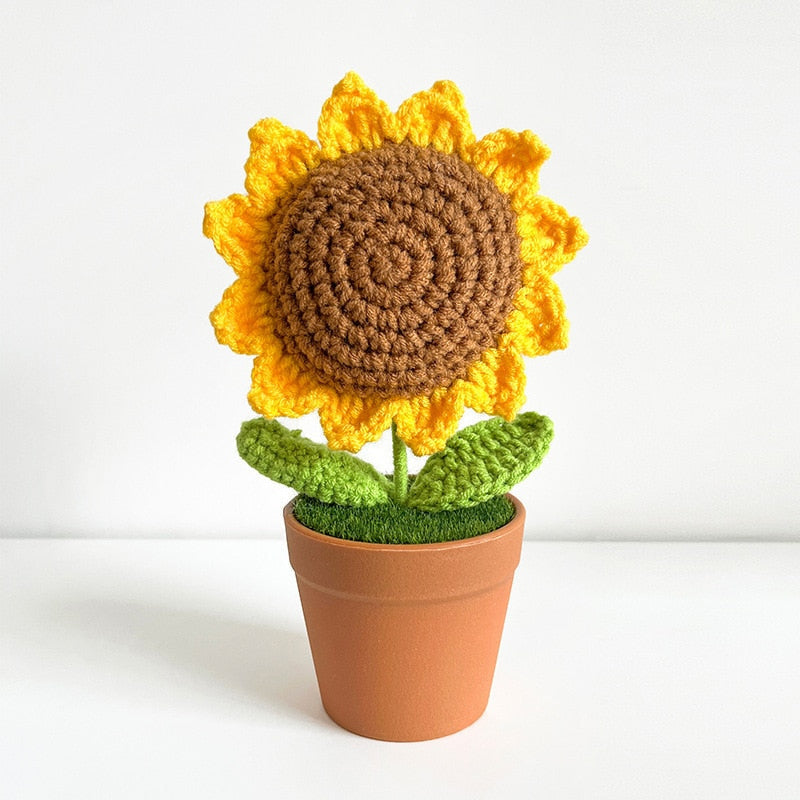 Crochet Flower Pots