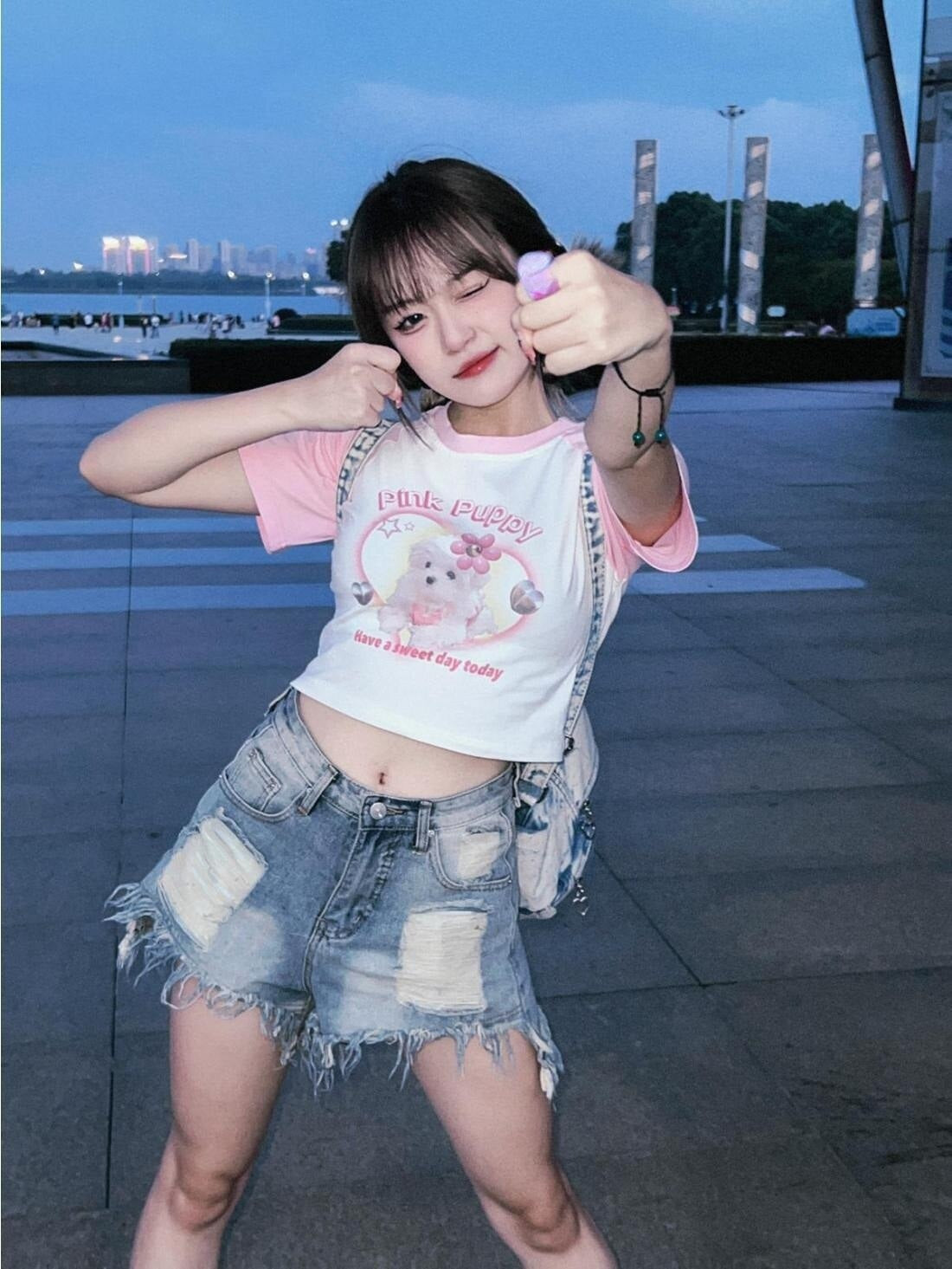 Pink Puppy Crop Top